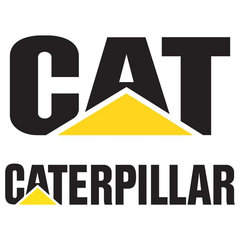 cat.png